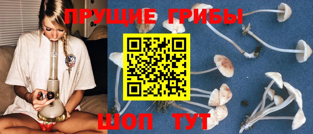 Галлюциногенные грибы мухоморы Рассказово