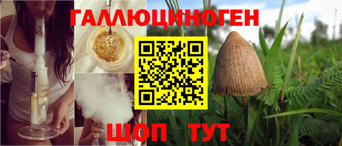 Рассказово  Галлюциногенные грибы мухоморы  Вход с VPN 
